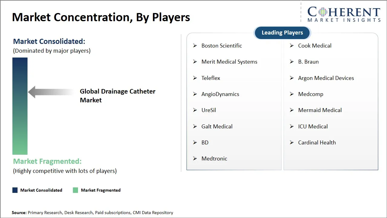 Drainage Catheter Market Concentration By Players
