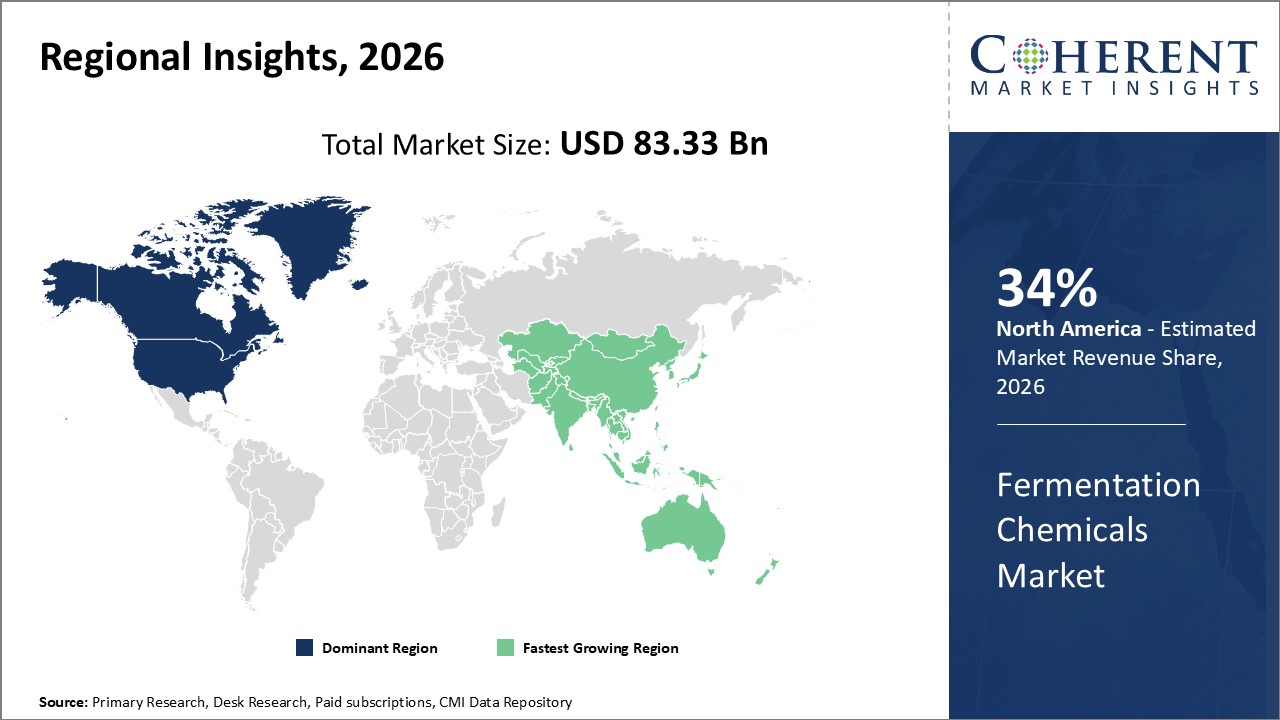 Fermentation Chemicals Market Regional Insights