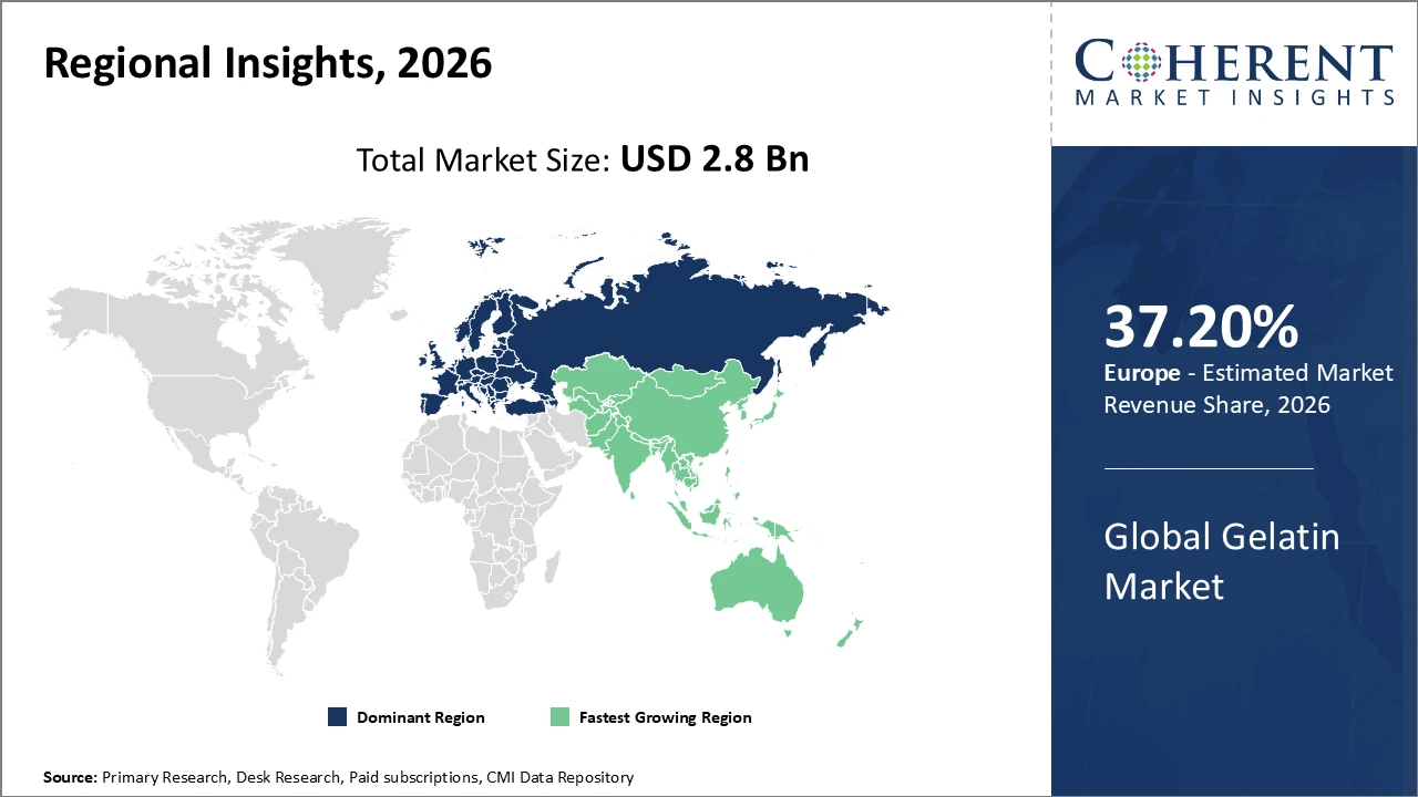 gelatin market_fig2