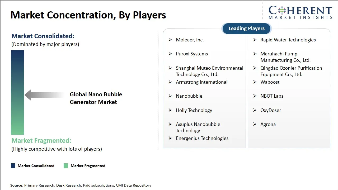 Nano Bubble Generator Market Concentration By Players